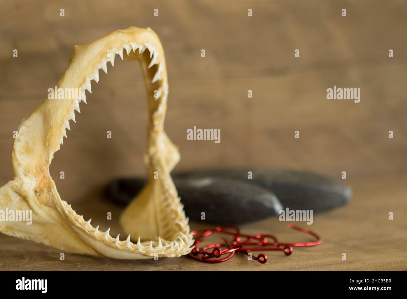 Mâchoire de requin large ouverte avec des pesées et des crochets rouges sur un arrière-plan rustique en bois Banque D'Images