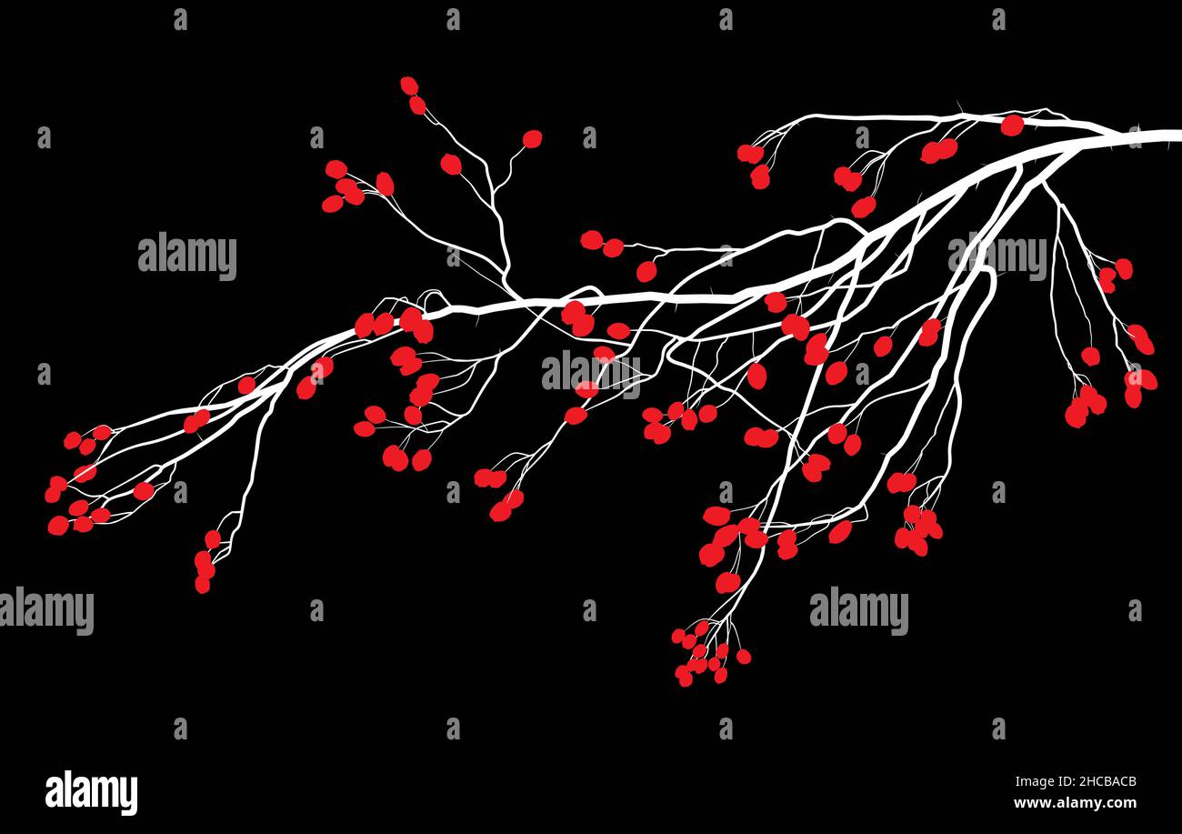 Dessin d'une branche d'aubépine Illustration de Vecteur
