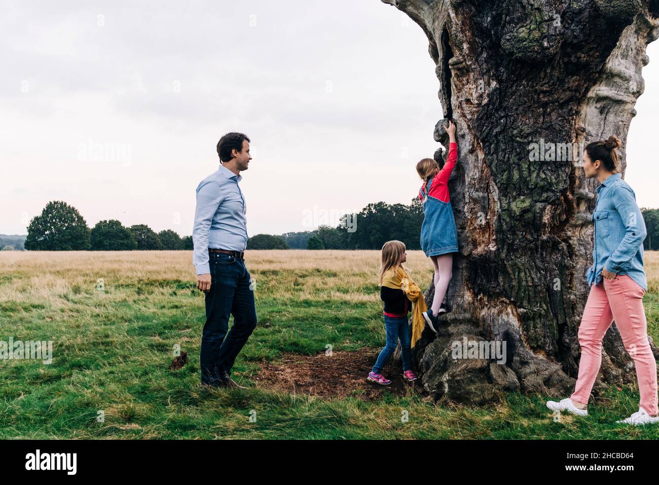 Parents regardant des filles jouer sur un arbre dans le parc Banque D'Images