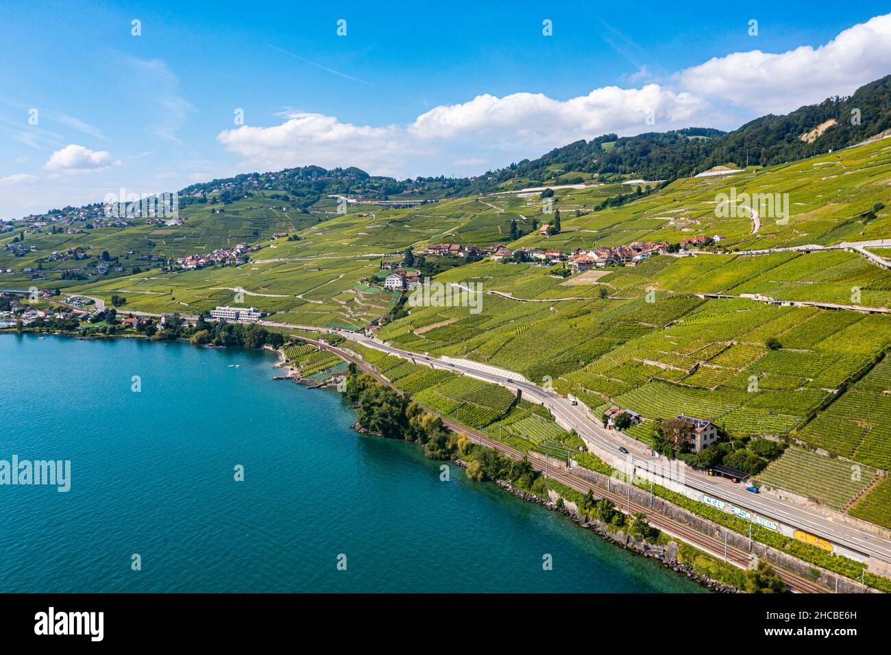 Suisse, canton de Vaud, vue aérienne des vignobles en terrasse de Lavaux en été Banque D'Images