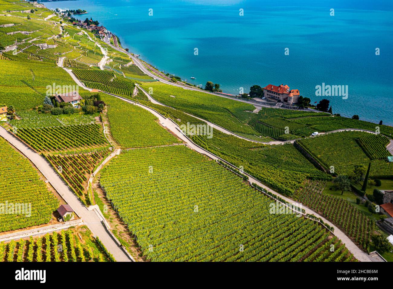 Suisse, canton de Vaud, vue aérienne des vignobles en terrasse de Lavaux en été Banque D'Images