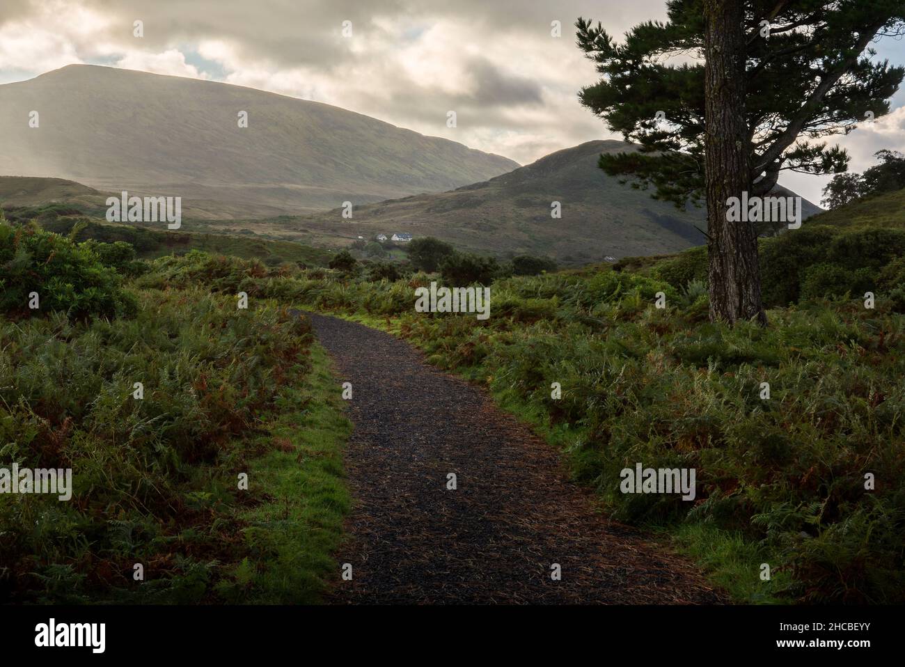 Sentier de randonnée au parc national de Wild Nephin Ballycroy, Irlande.Une belle région sauvage éloignée dans le comté de Mayo avec des tourbières, des lacs, des rivières, des montagnes. Banque D'Images