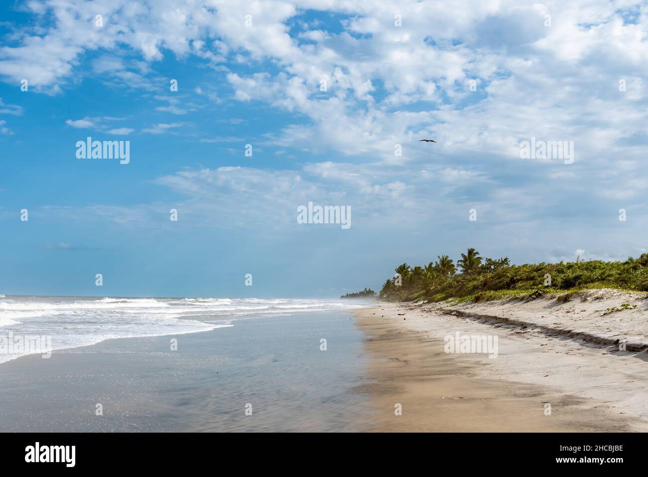 Vue sur la longue plage du désert sur la côte nord-est du Brésil Banque D'Images