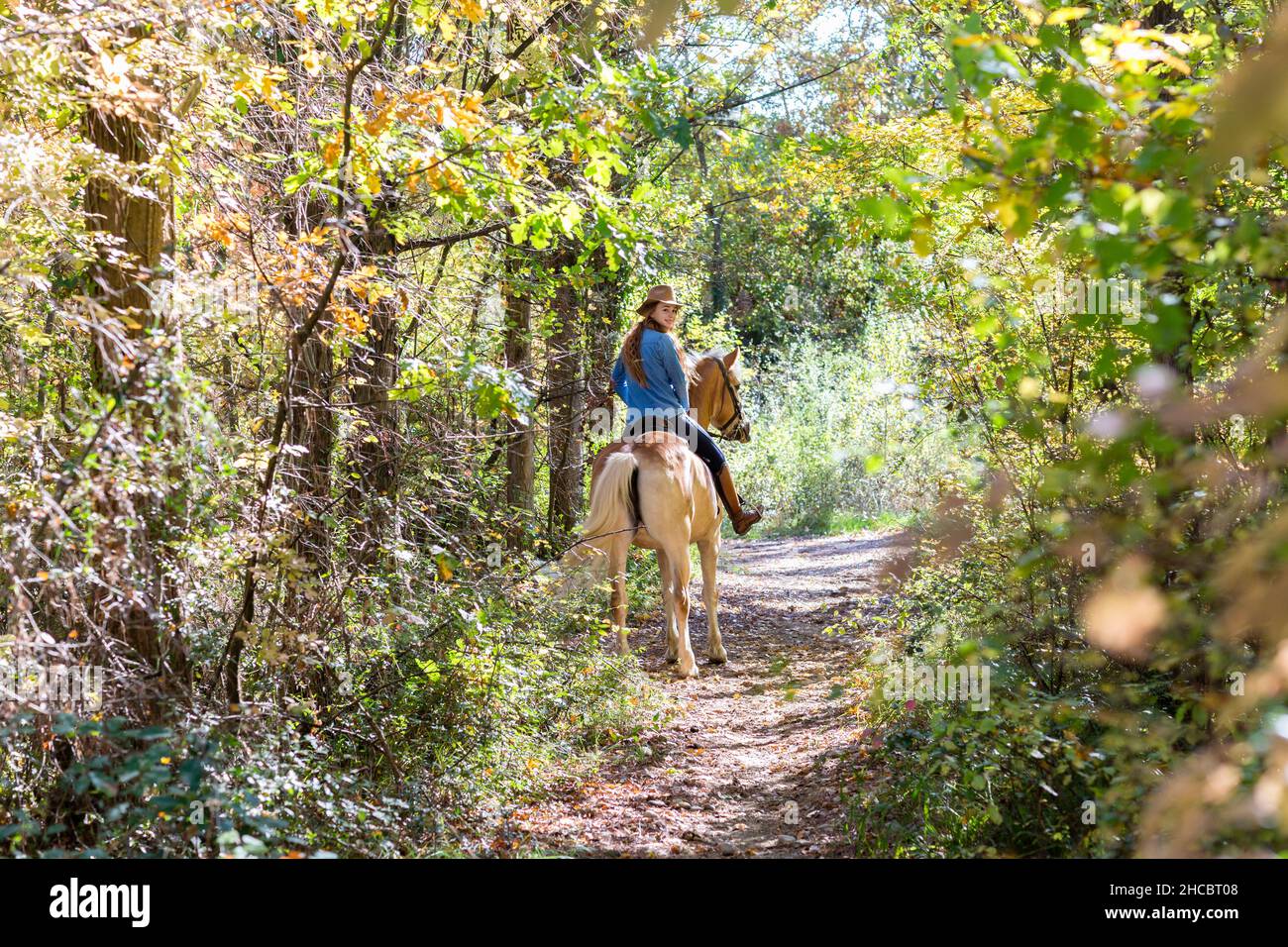 Jeune femme regardant par-dessus l'épaule pendant l'équitation dans la forêt le jour ensoleillé Banque D'Images