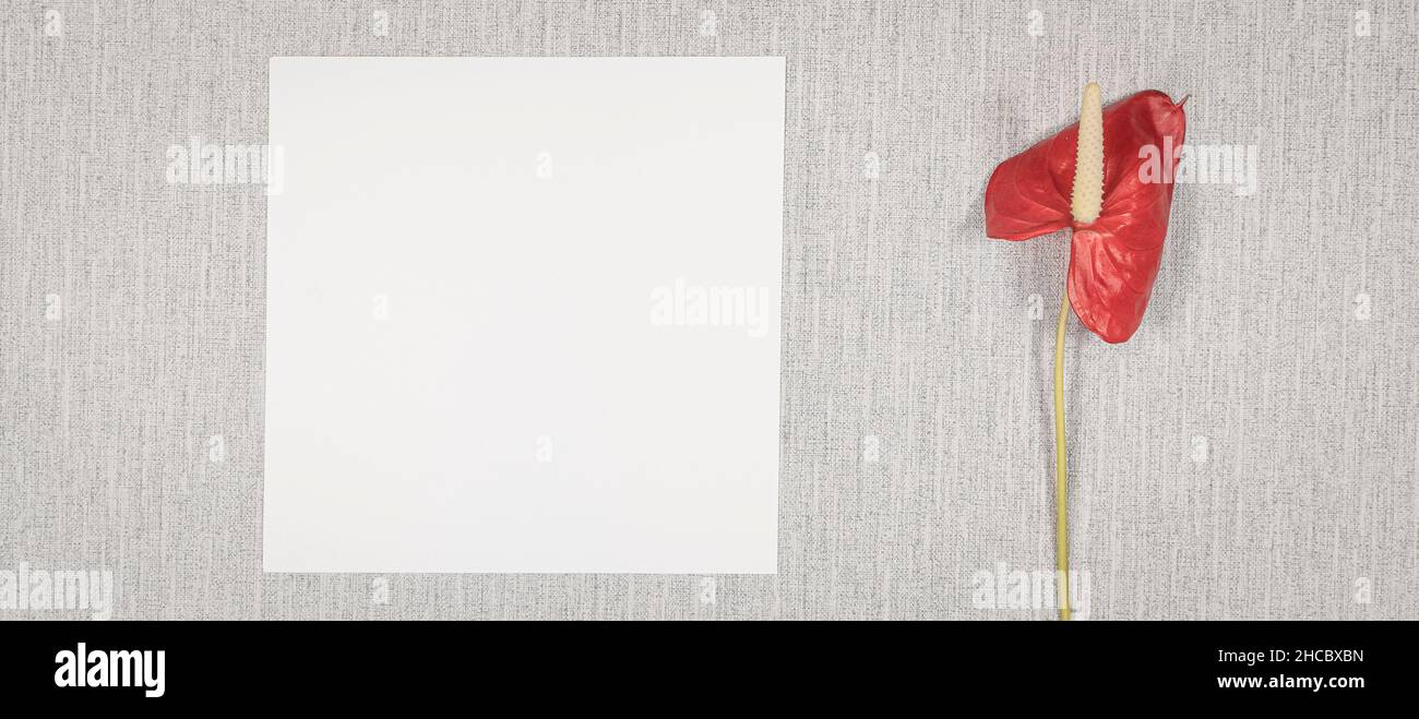 Carte vierge pour écrire un message, une invitation, un message d'accueil. Banque D'Images