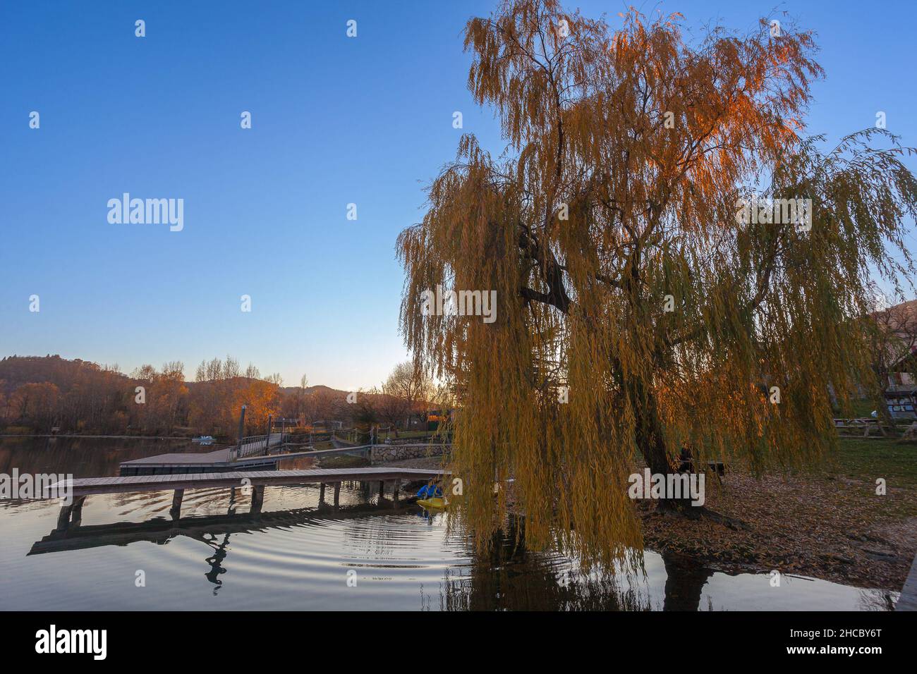 Saules colorés sur la rive d'un lac pendant un coucher de soleil d'automne Banque D'Images