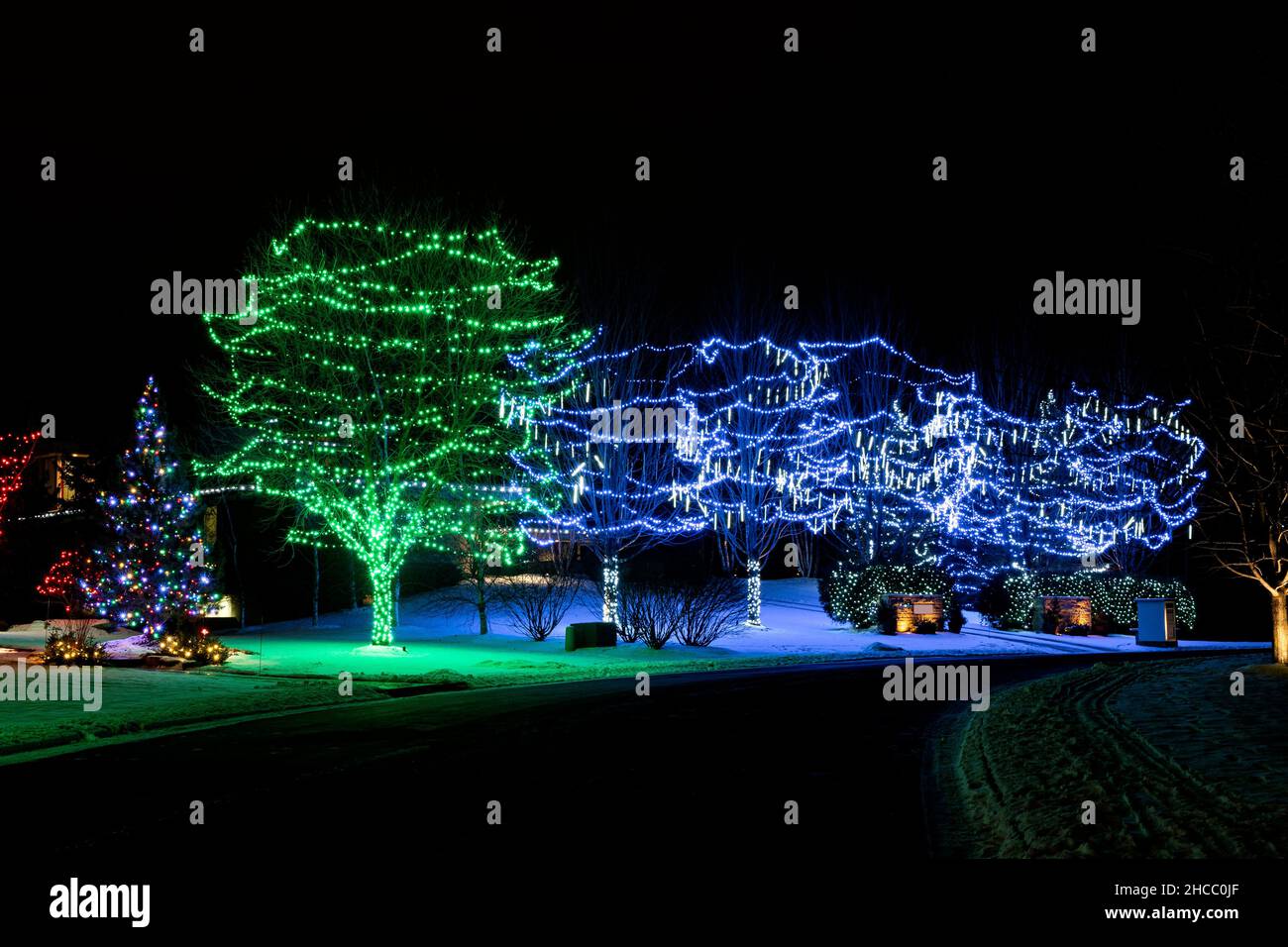 arbres illuminés de lumières de vacances colorées le long de la rue résidentielle Banque D'Images