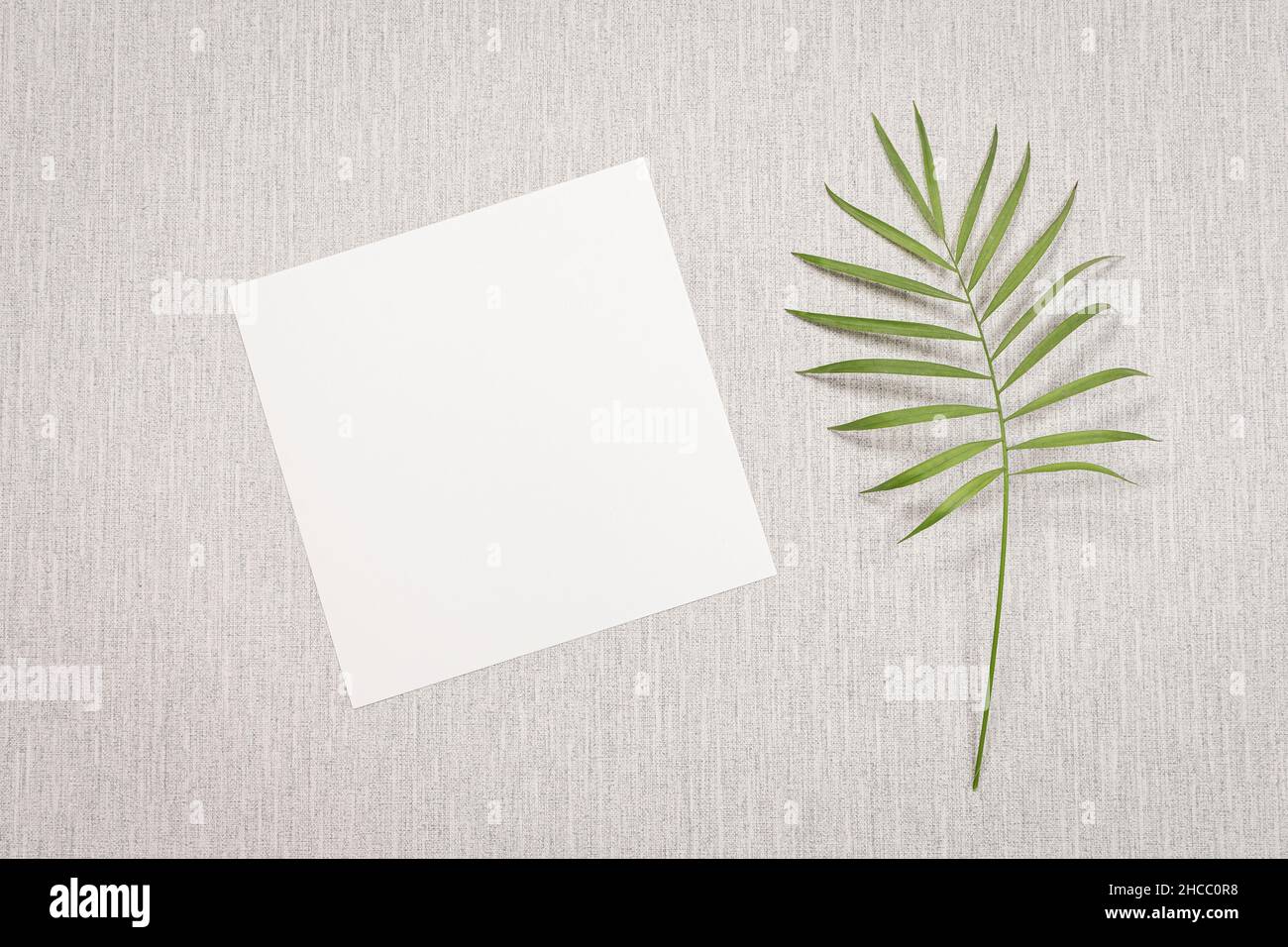 Carte vierge pour écrire un message, une invitation, un message d'accueil. Banque D'Images