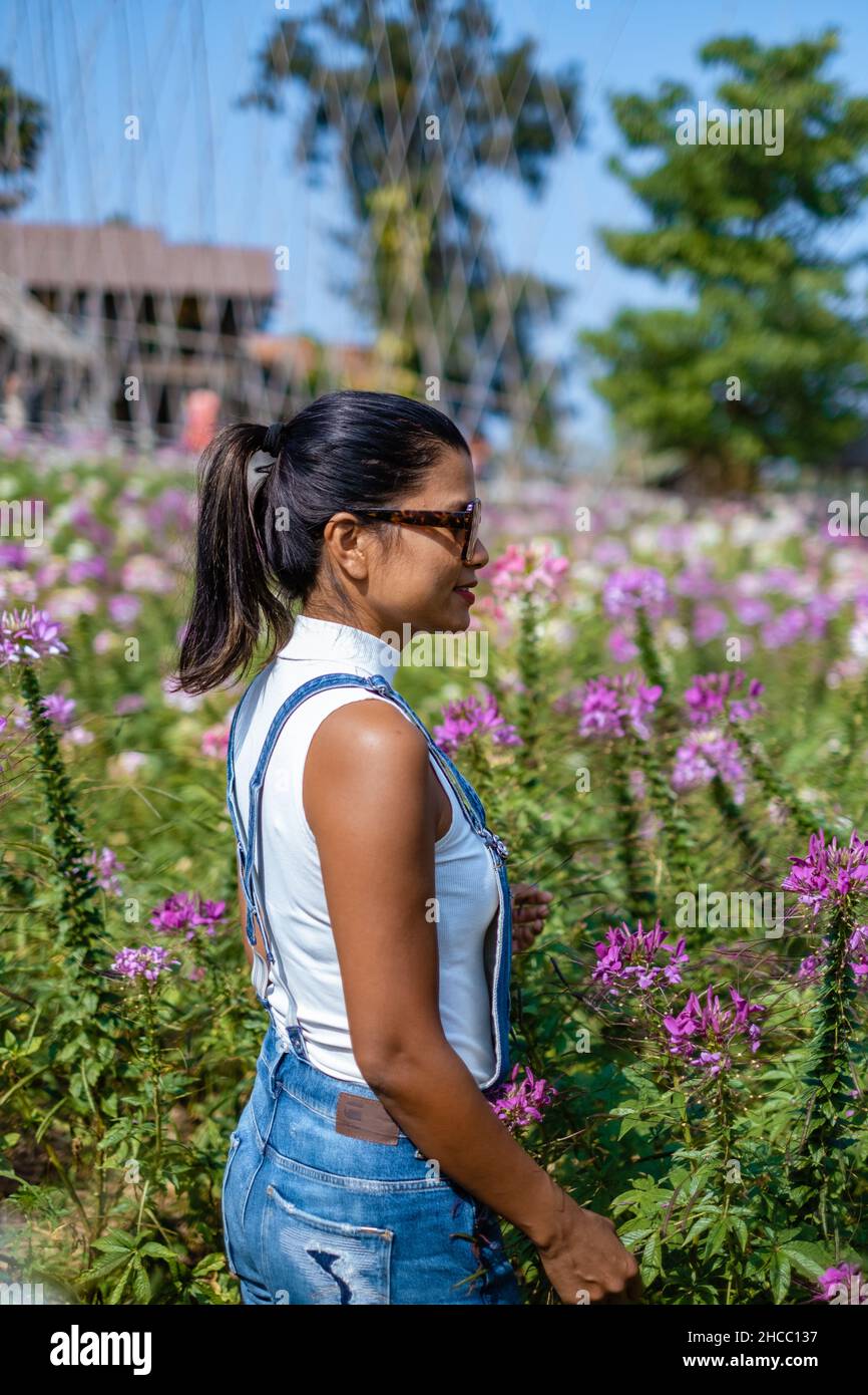 Nan Thailand, un champ de fleurs avec une fleur colorée dans le nord de la  Thaïlande, femme dans le champ de fleurs.Femme asiatique de milieu d'âge  Photo Stock - Alamy