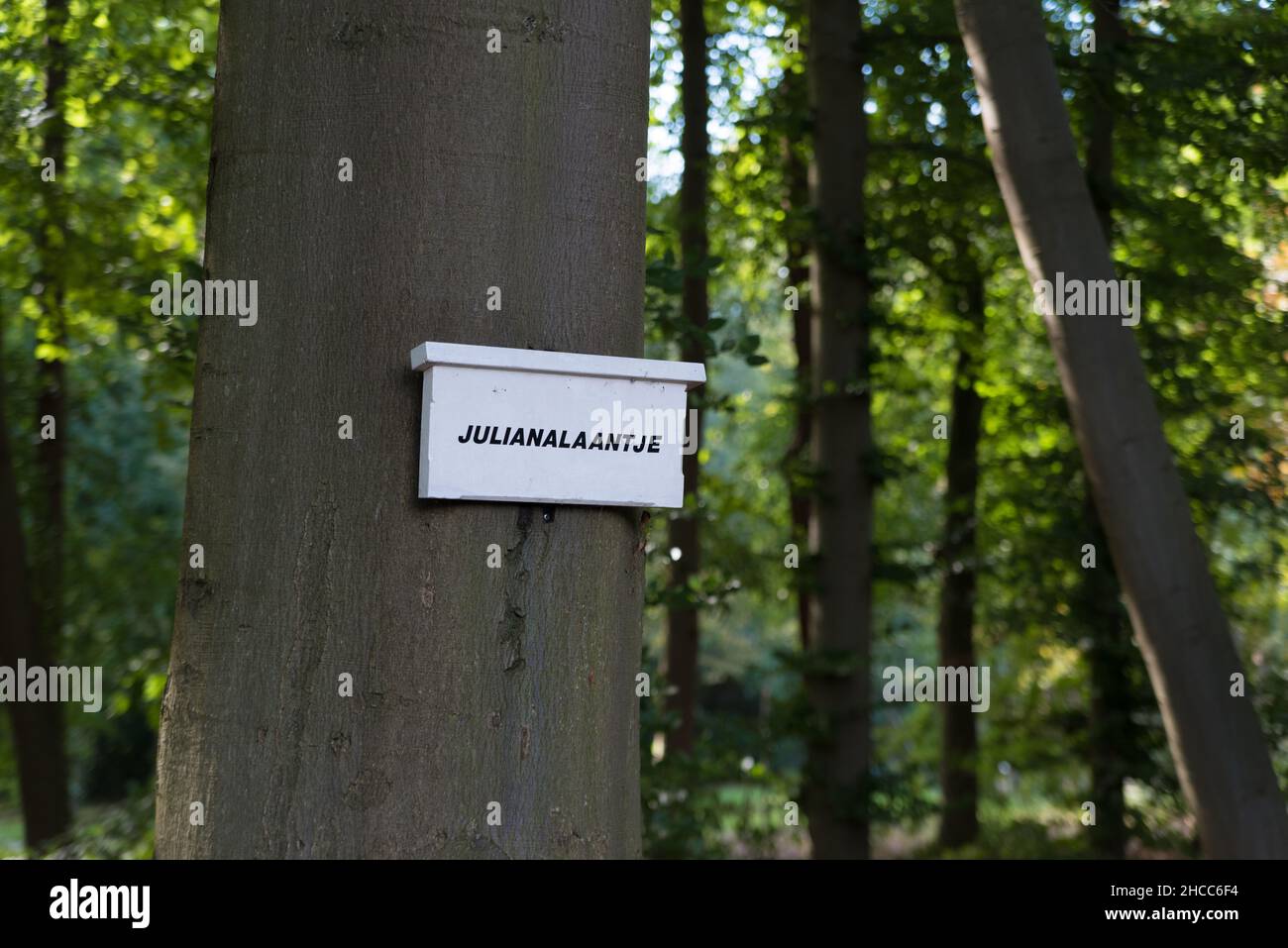 Panneau blanc indiquant l'avenue Juliana, du nom de l'ancienne reine hollandaise Banque D'Images