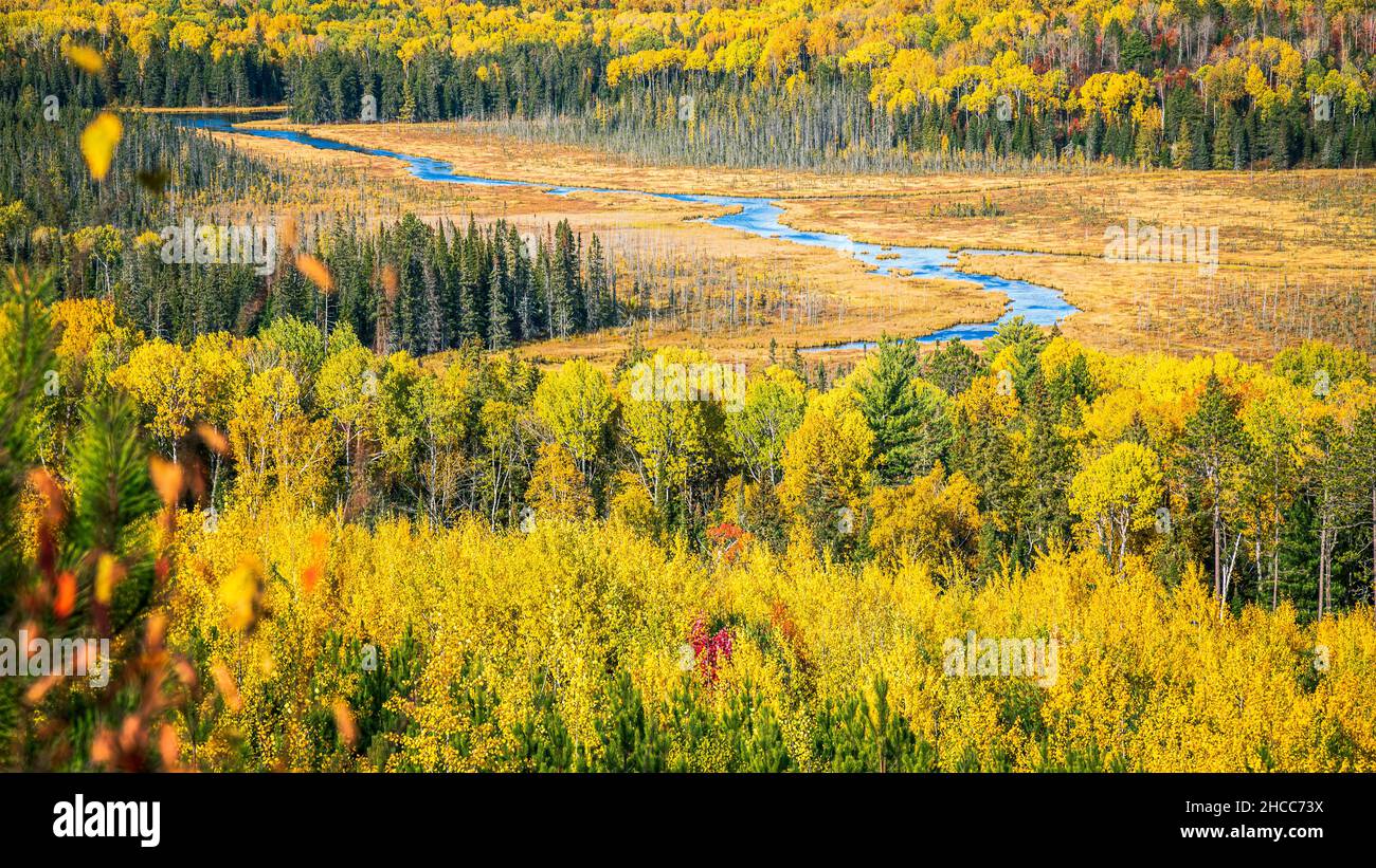 Vue sur le paysage d'un champ coloré et d'un canal d'eau Banque D'Images