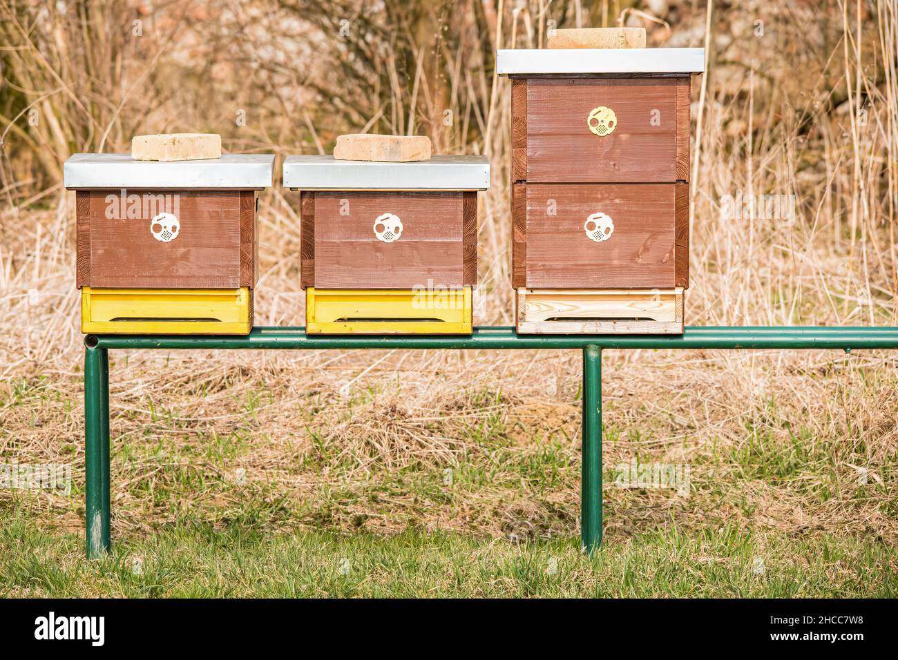 Trois petits apiculteurs se tenant côte à côte sur une structure métallique Banque D'Images