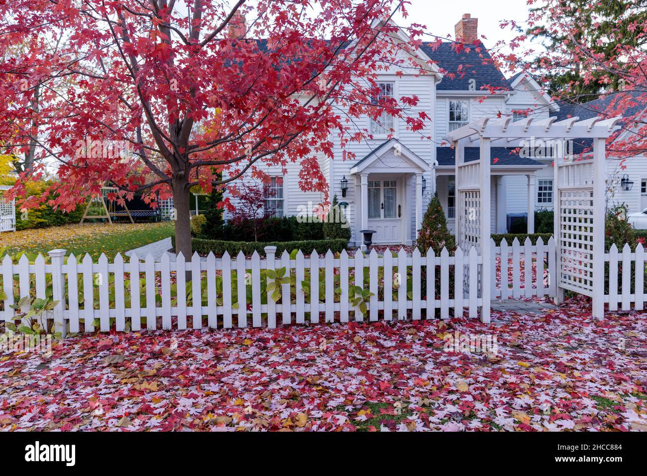 feuilles d'érable couvrant le sol, avec une maison blanche et une clôture blanche. Banque D'Images