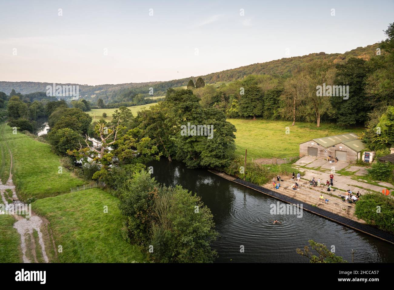 Nage sauvage dans la rivière Avon en contrebas de l'aqueduc de Dundas près de Bath. Banque D'Images