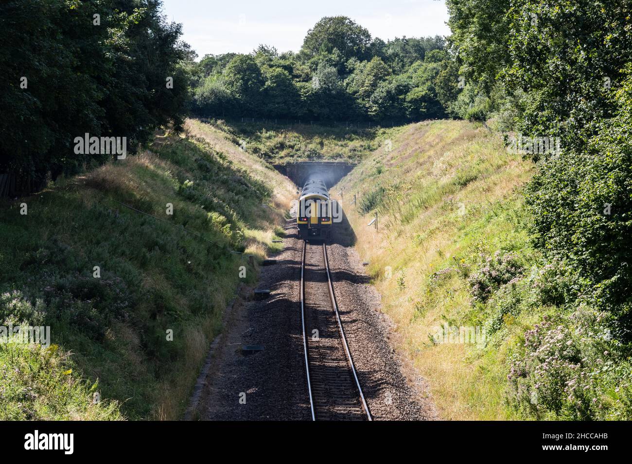 Un train de passagers de classe 159 pénètre dans le tunnel Buckhorn Weston près de Gillingham, dans Dorset. Banque D'Images