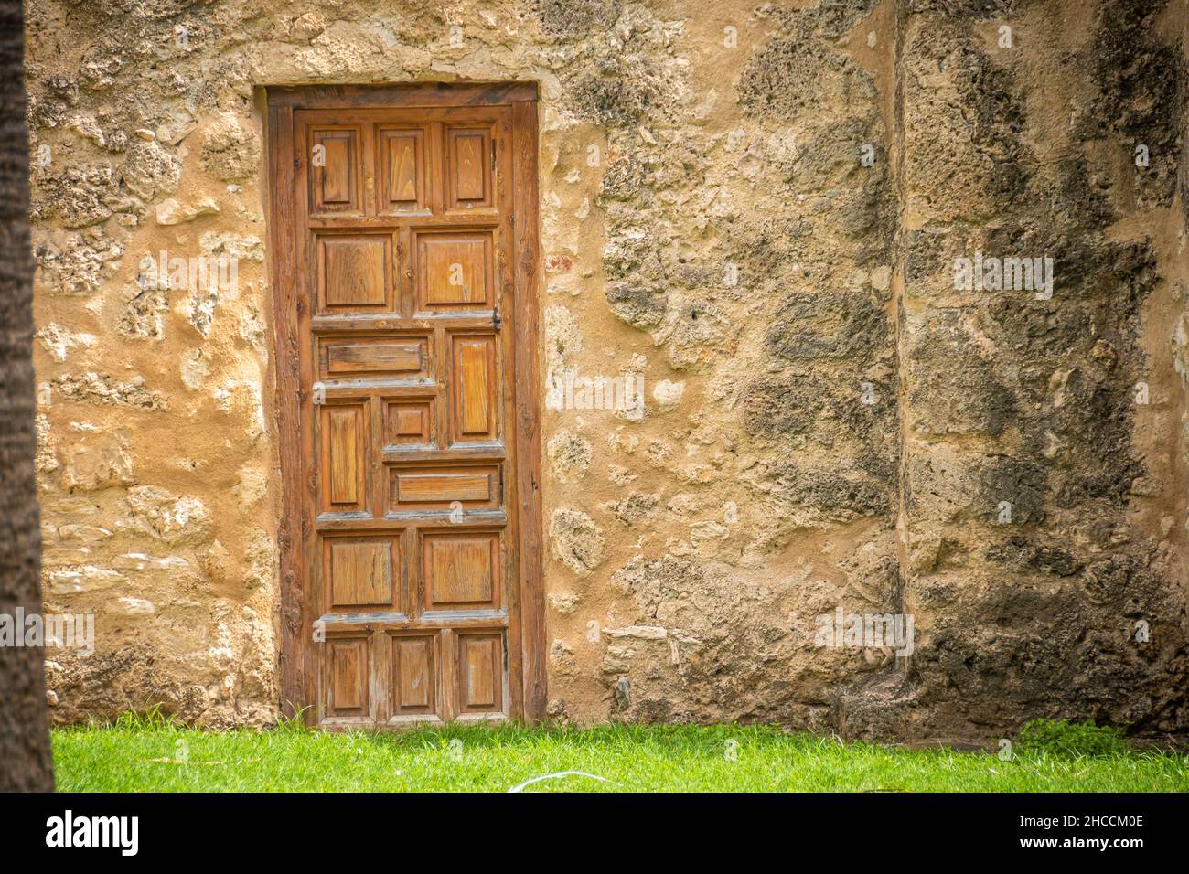 Une porte en bois sur le côté d'un vieux mur Banque D'Images