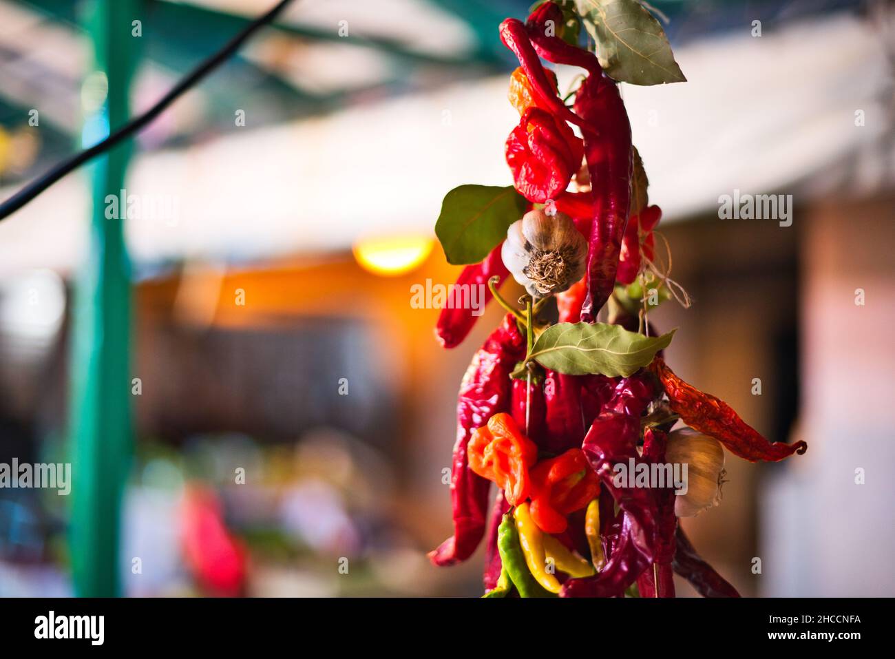 Foyer sélectif de piments rouges séchés suspendus aux piments fantômes et à l'ail Banque D'Images