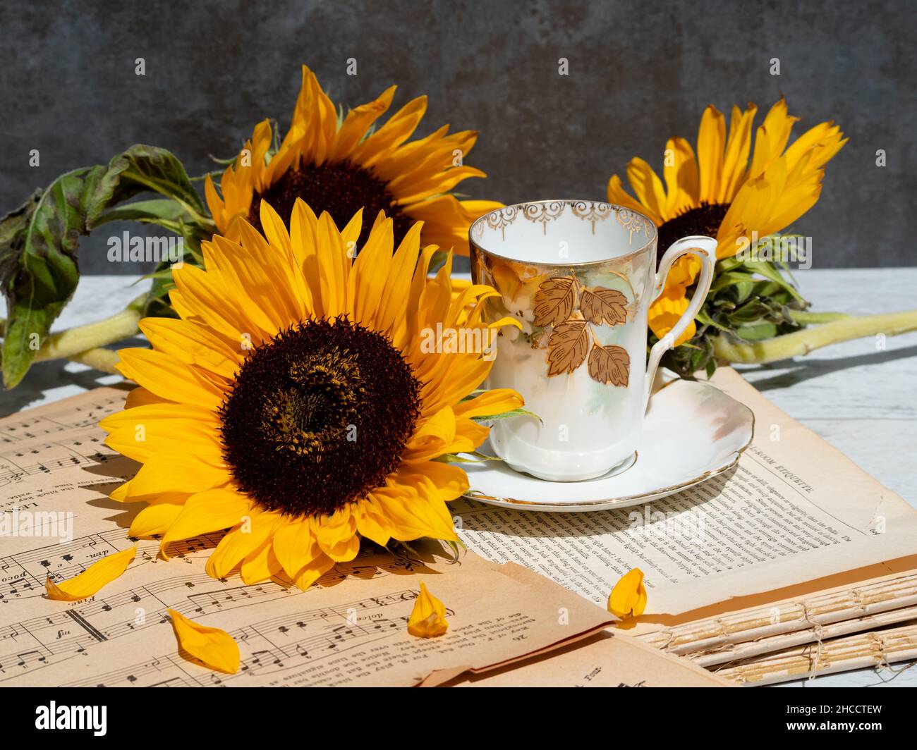 Tournesols, tasse à café et livres anciens avec notes musicales Banque D'Images