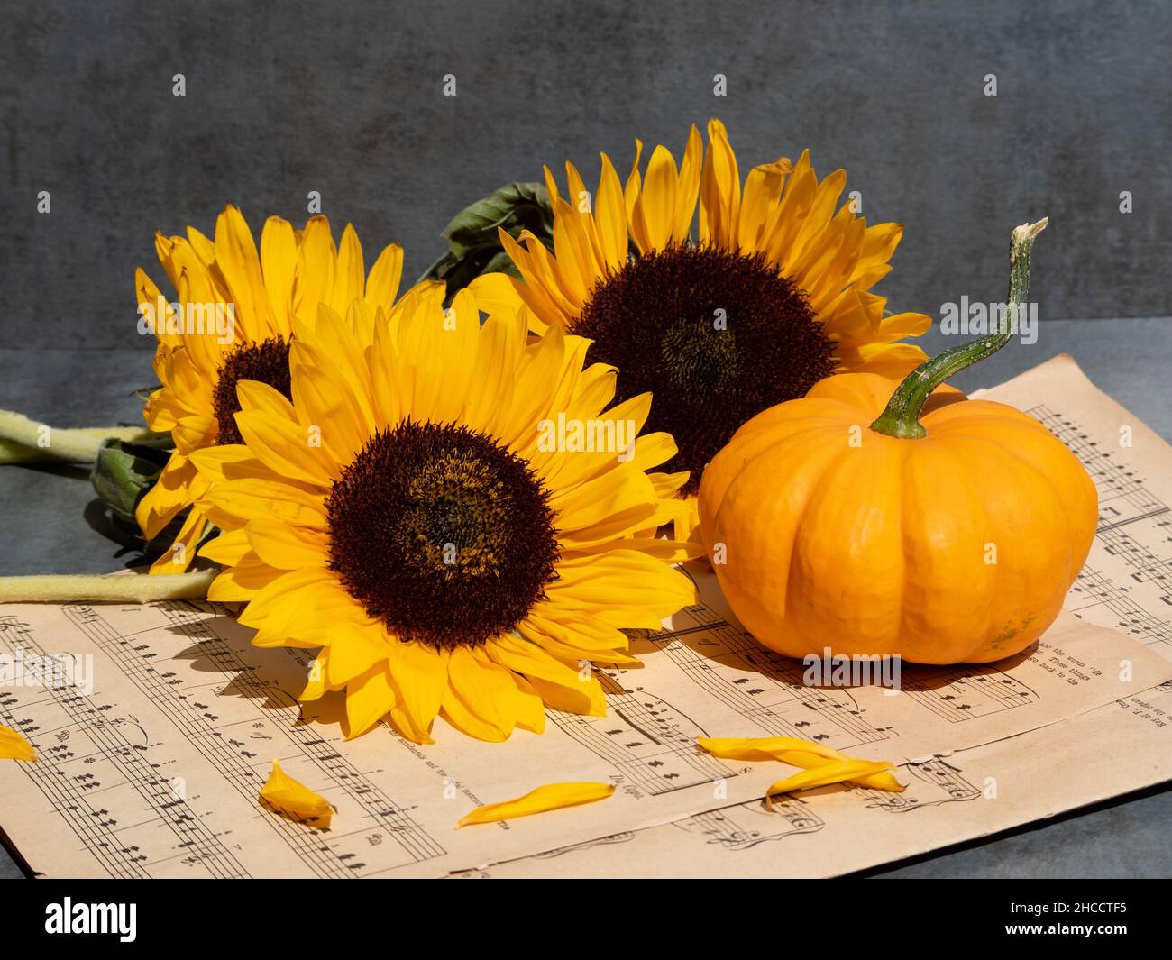 Gros plan de notes musicales, bouquet de tournesols et citrouille Banque D'Images