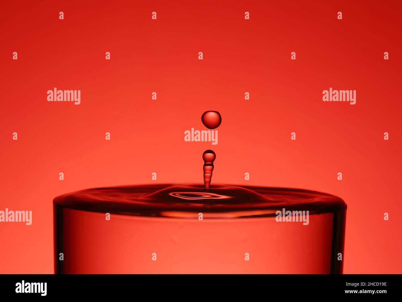 Projection de gouttelettes dans un verre d'eau dans l'espace de copie de macro d'arrière-plan rouge Banque D'Images