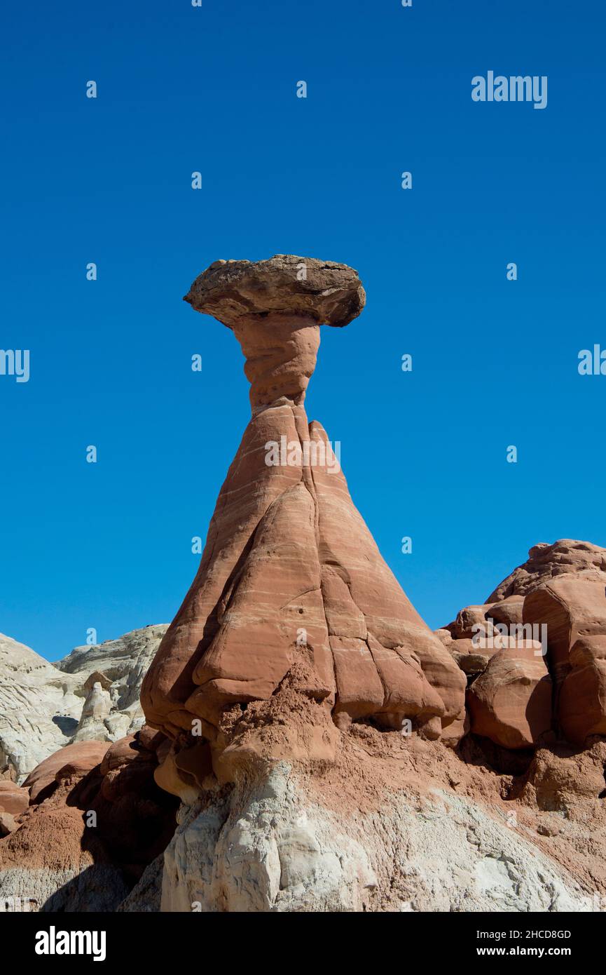 Sandstone Toadstool hoodoo, Grand Staircase - Escalante National Monument, Utah Banque D'Images
