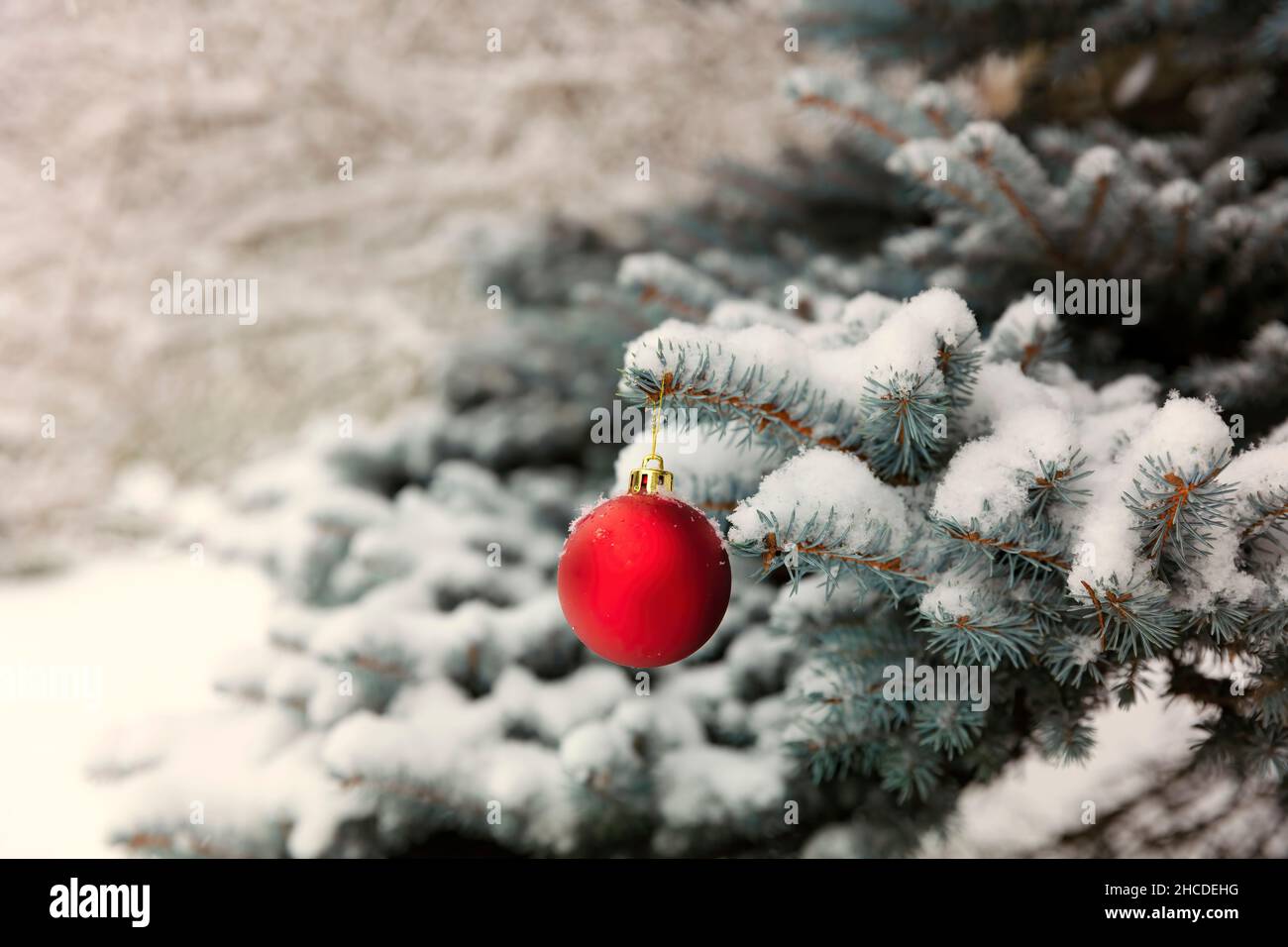 Arbre de Noël extérieur recouvert de neige avec gros plan d'un ornement rouge et or pour le concept de Noël ou du nouvel an Banque D'Images