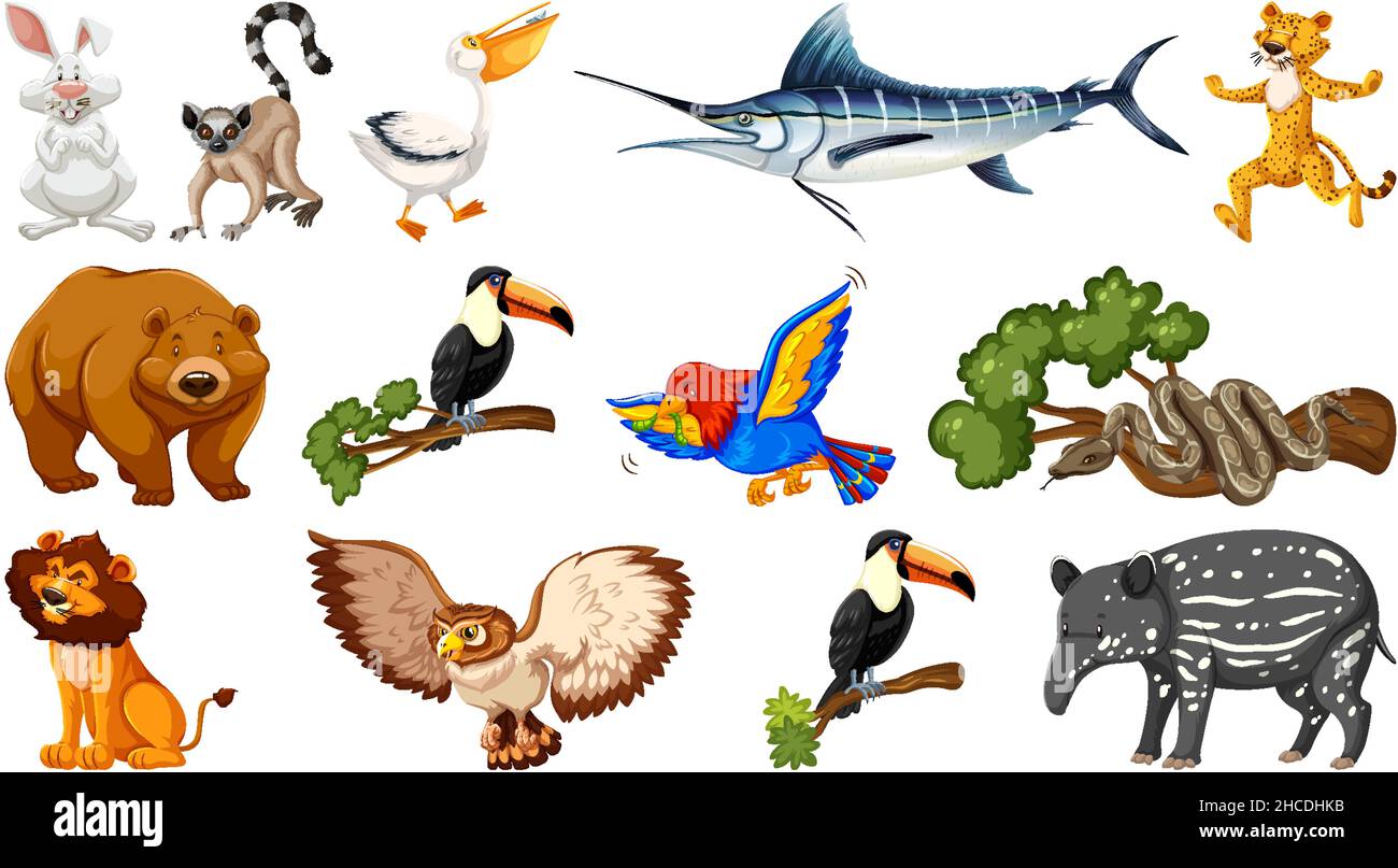 Illustration de différents personnages de dessin animé d'animaux sauvages Illustration de Vecteur