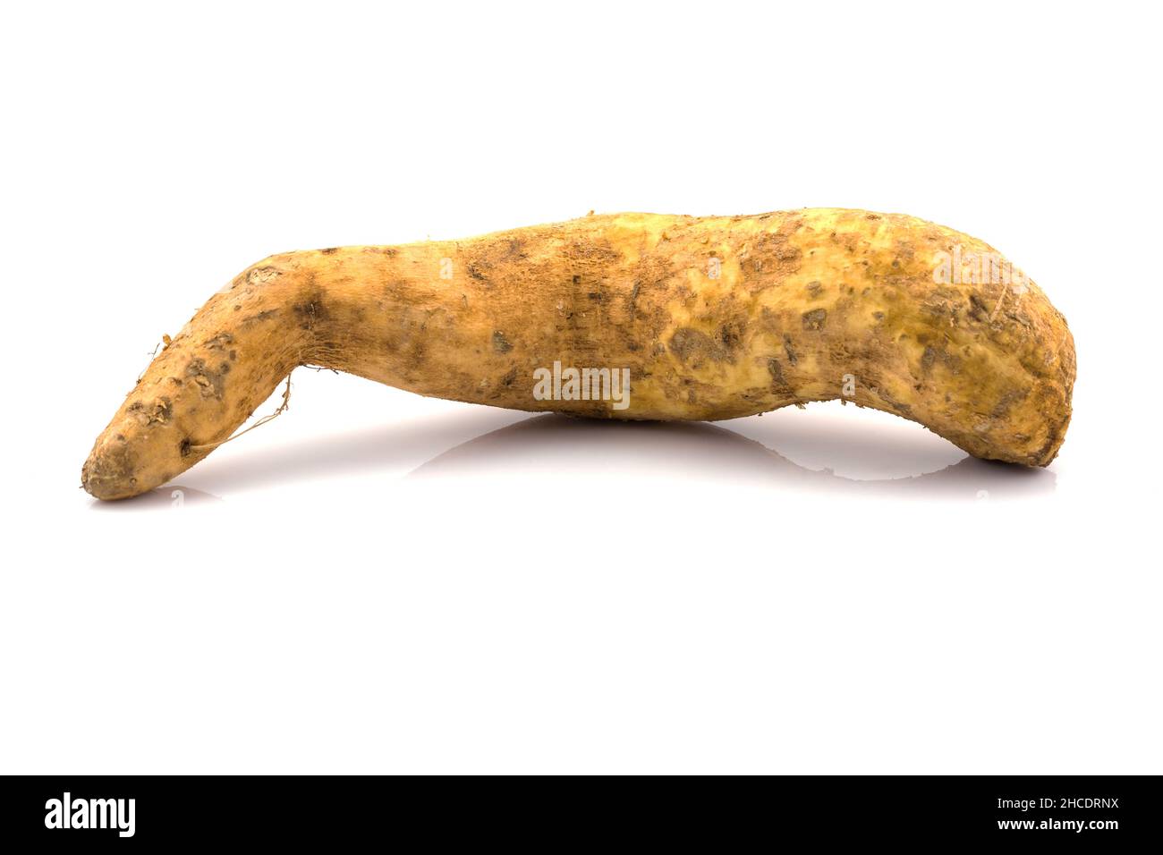 Yam bouilli isolé sur fond blanc Banque D'Images