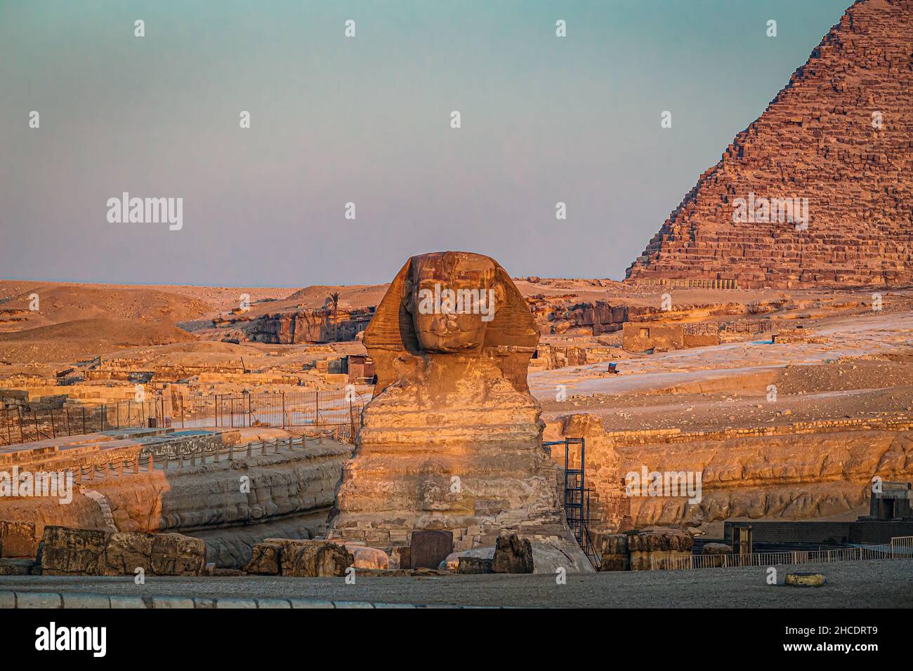 Le grand Sphinx de Gizeh vu à l'heure d'or du lever du soleil.Photo prise le 21st juin 2021, sur le plateau de Gizeh, le Caire, Égypte. Banque D'Images