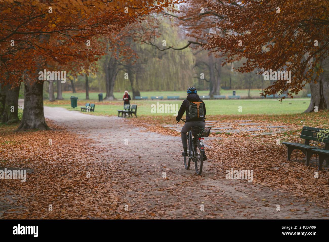 Vue arrière d'une femme qui fait du vélo dans le parc de la ville de Munich, en Allemagne, en automne Banque D'Images