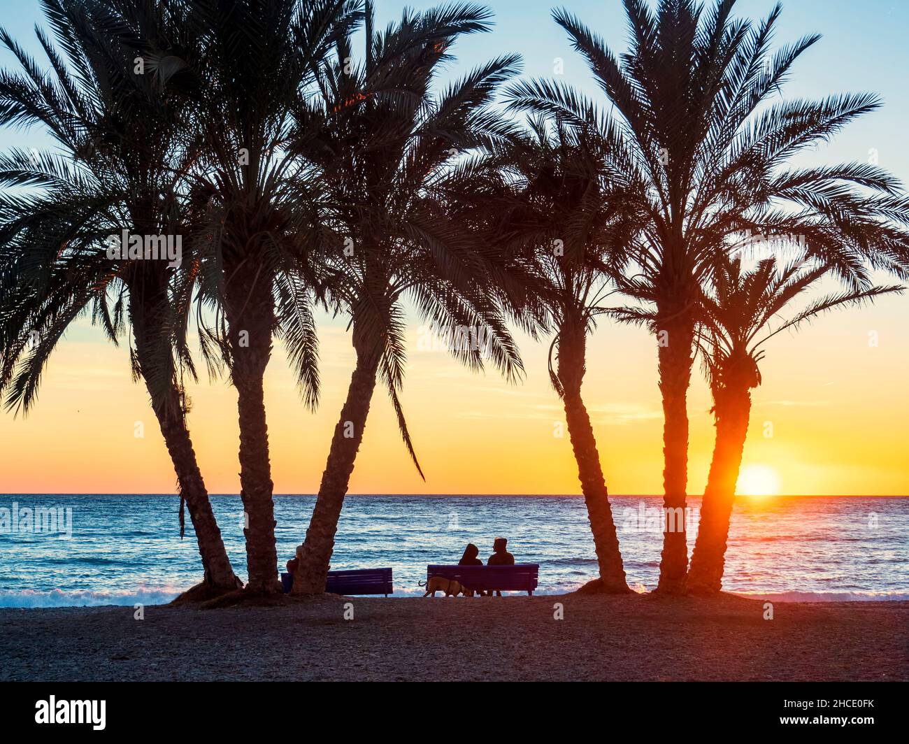 Silhouette d'un couple avec un chien sur la rive sablonneuse de la plage d'Almuñecar au coucher du soleil. Banque D'Images