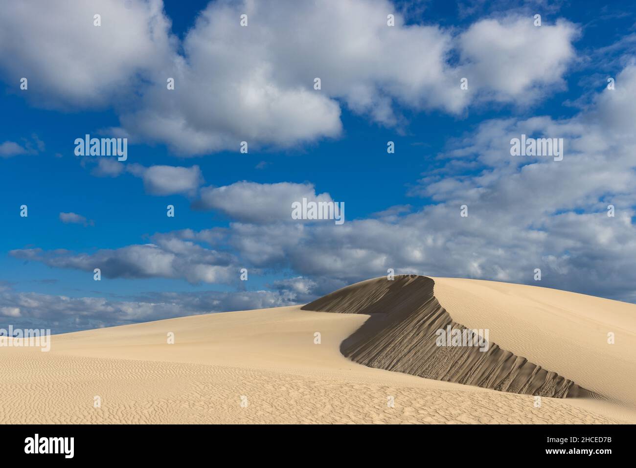 dune de sable courbée contre un ciel bleu avec des nuages moucheteux Banque D'Images