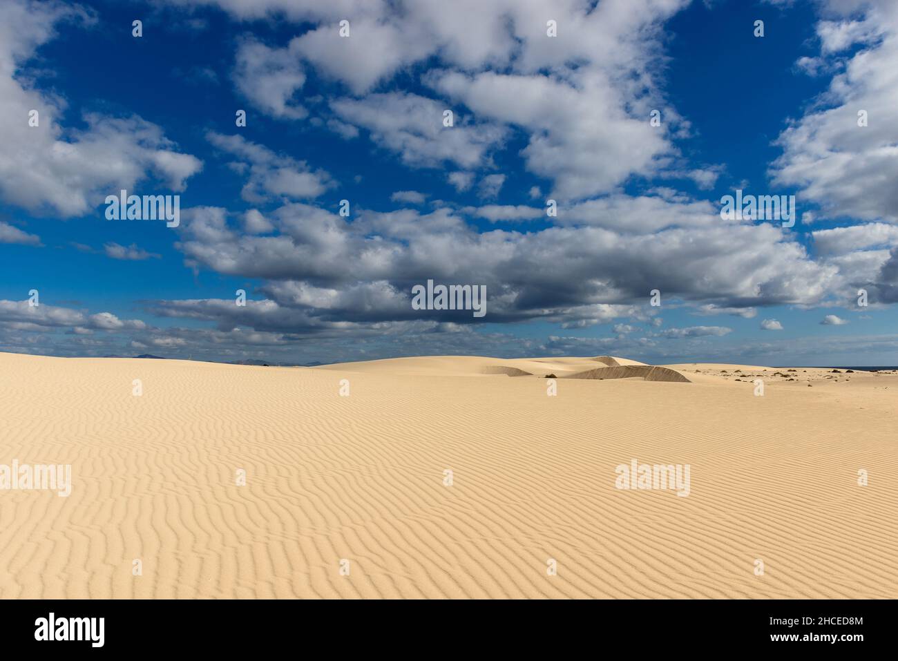 poncer la dune contre un ciel bleu avec des nuages moucheteux Banque D'Images