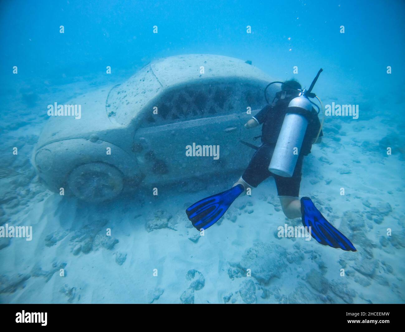 musée sous-marin d'un coléoptère au mexique Banque D'Images