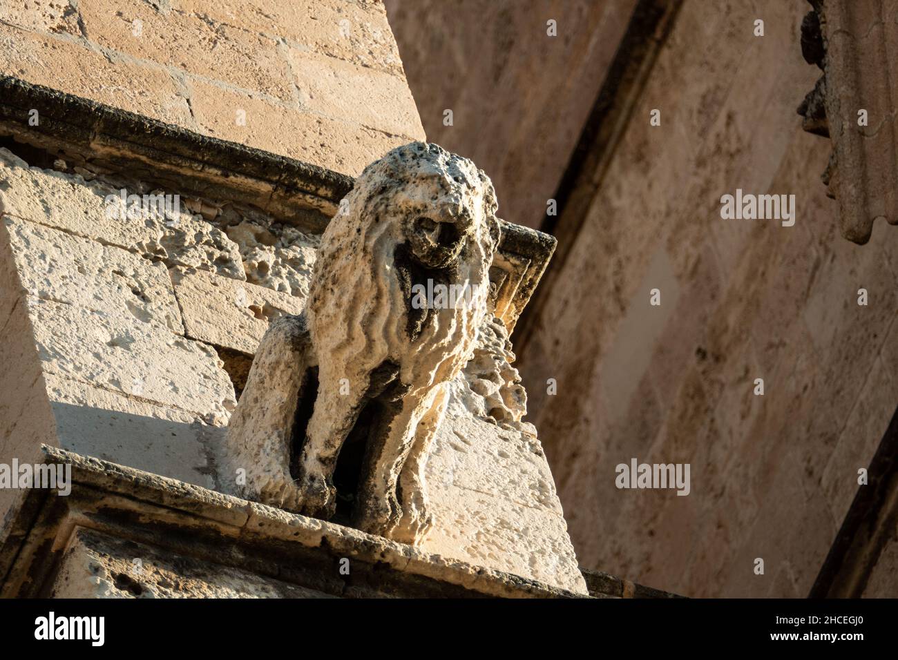 Gargouille d'animaux de Lyon sur la cathédrale de Palma de Majorque Banque D'Images