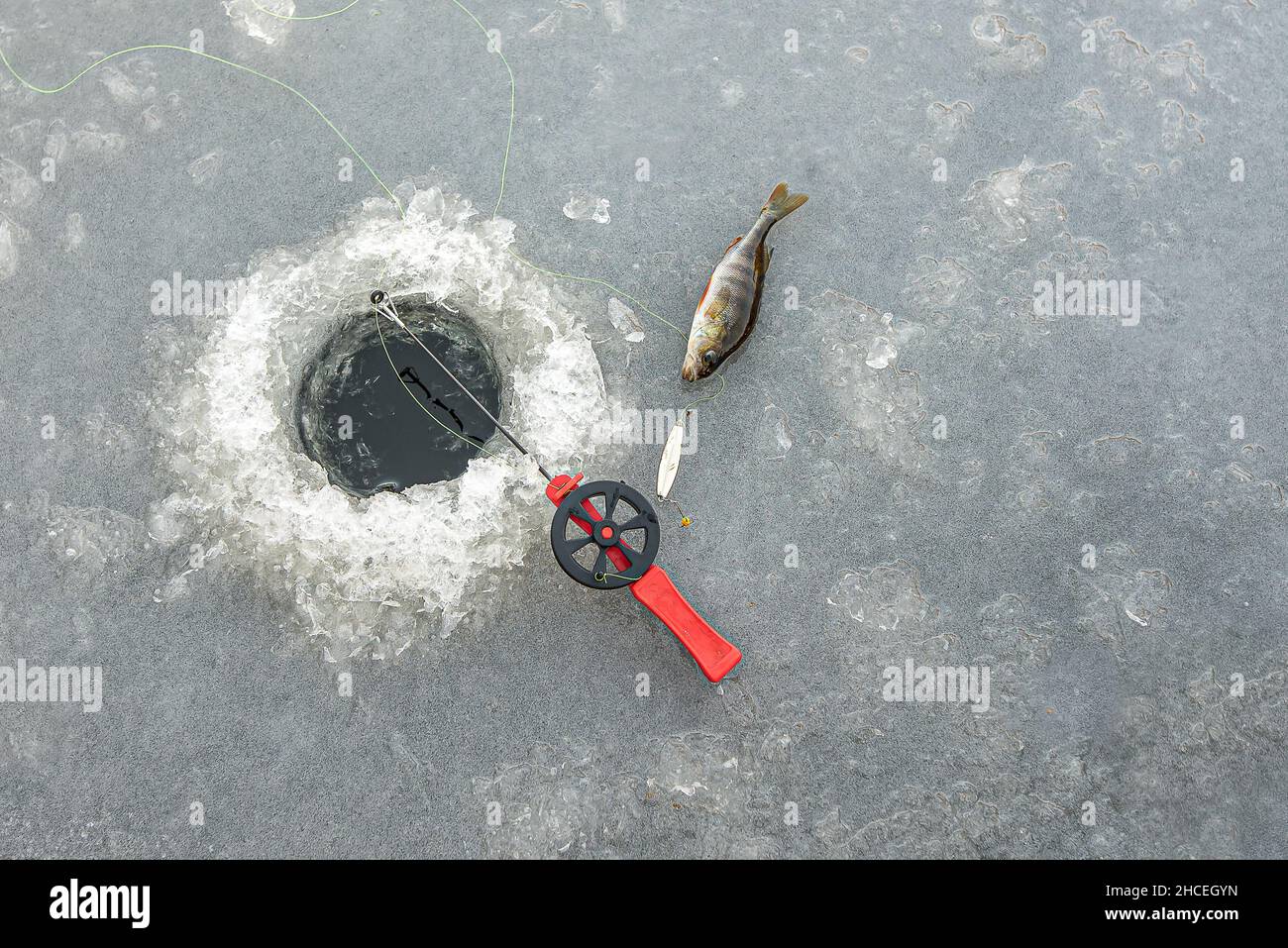 Poissonnelle rouge et lure argentée à côté d'un trou dans la glace et d'une perchaude, Zélande, Danemark, Januar 27, 2021 Banque D'Images