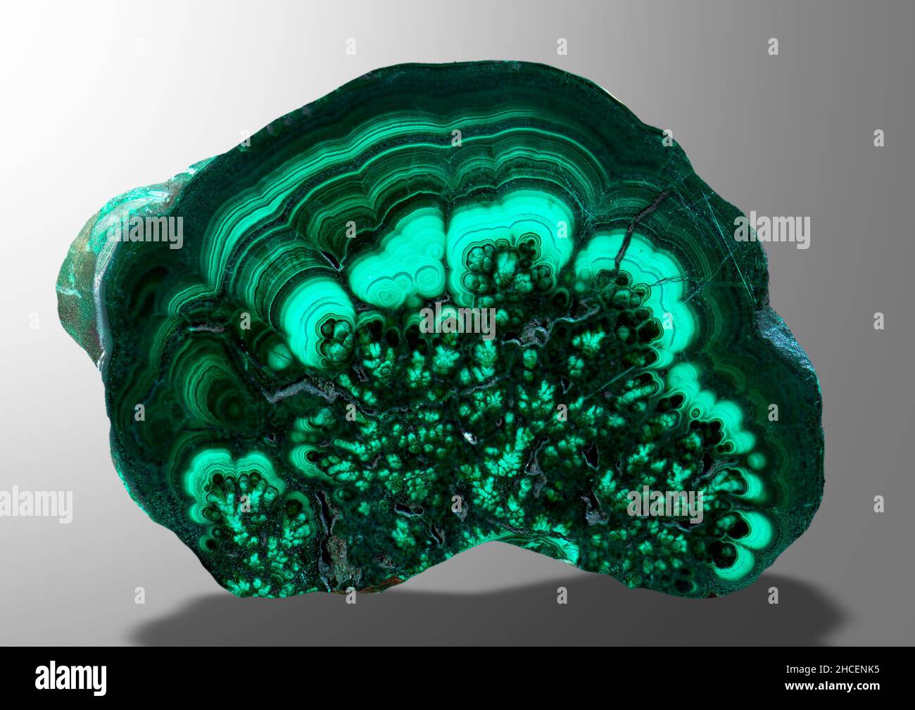 malachite minéral spécimen pierre géologie roche cristal de gemme Banque D'Images