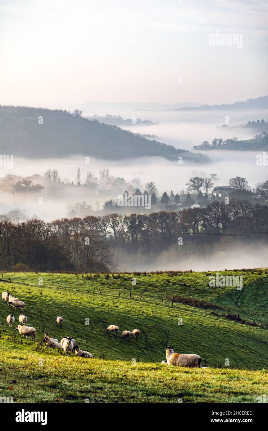 Royaume-Uni, Angleterre, Devonshire, Teign Valley.Brume matinale au-dessus de la tour de l'église de Doddiscombsleigh dans la vallée. Banque D'Images