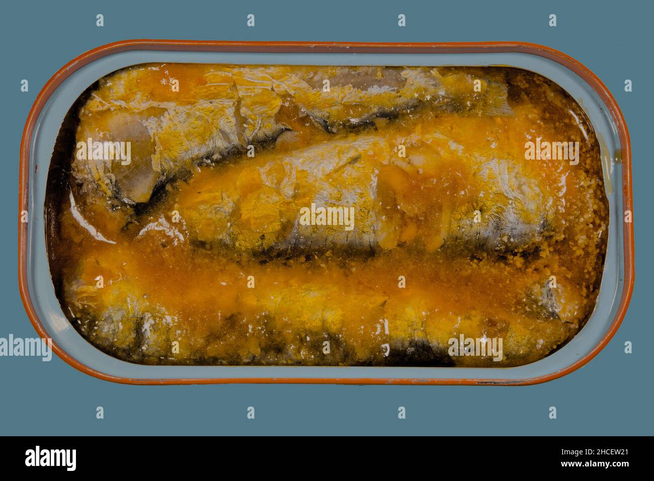 Conserves de sardines dans la sauce tomate Banque D'Images