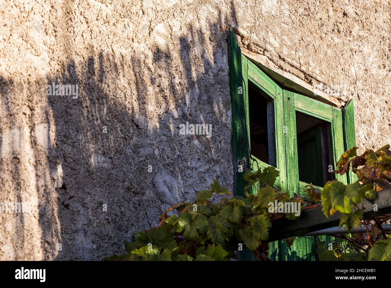 Détail architectural de la vieille maison rurale fenêtre et vigne à Chirche, Guia de Isora, Tenerife, îles Canaries, Espagne Banque D'Images