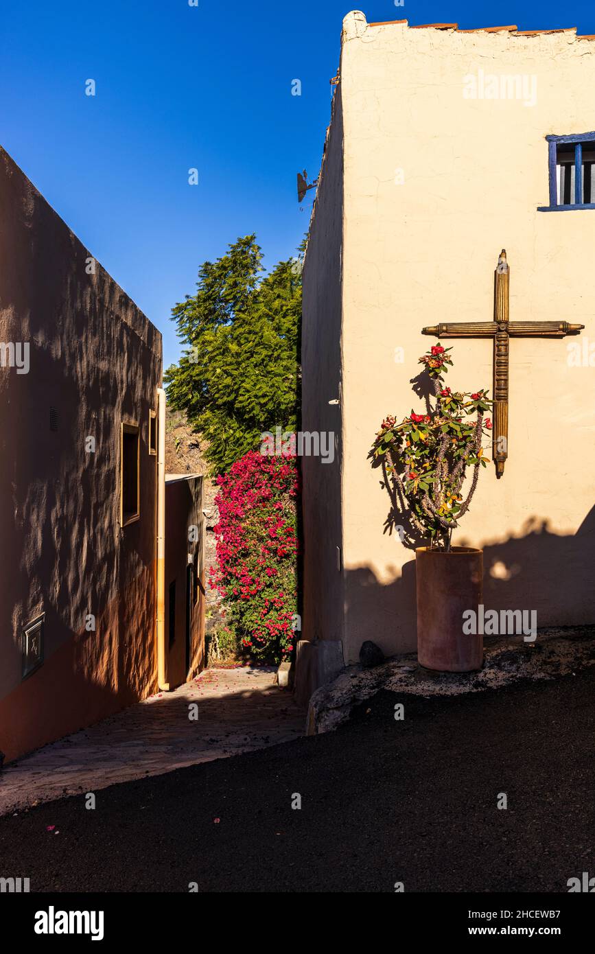 Traverser sur un mur d'une maison par une ruelle avec bouganvillea et couronne d'épines de la plante d'épine rouge à fleurs dans le village de Chirche, Guia de Isora, Tene Banque D'Images