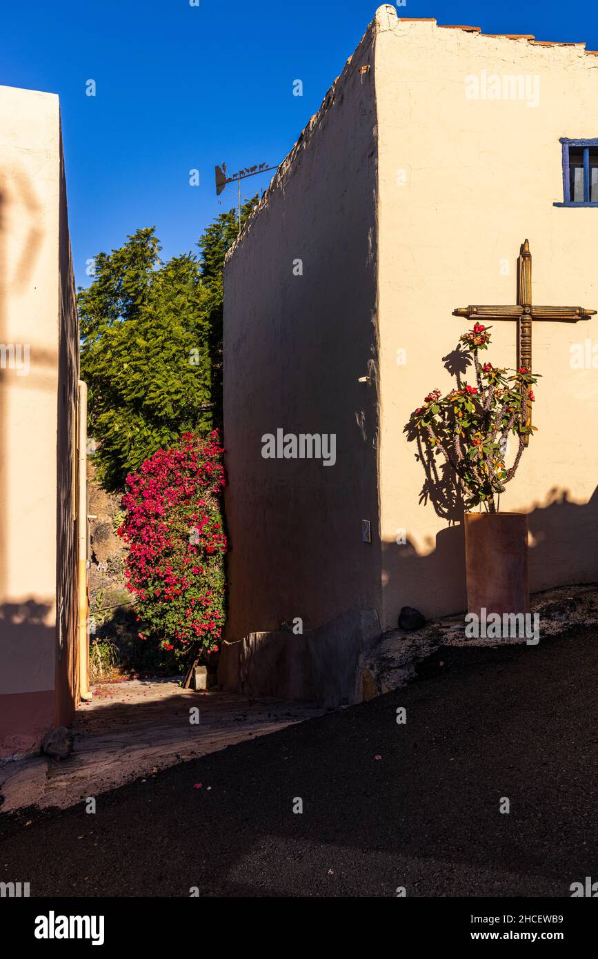 Traverser sur un mur d'une maison par une ruelle avec bouganvillea et couronne d'épines de la plante d'épine rouge à fleurs dans le village de Chirche, Guia de Isora, Tene Banque D'Images