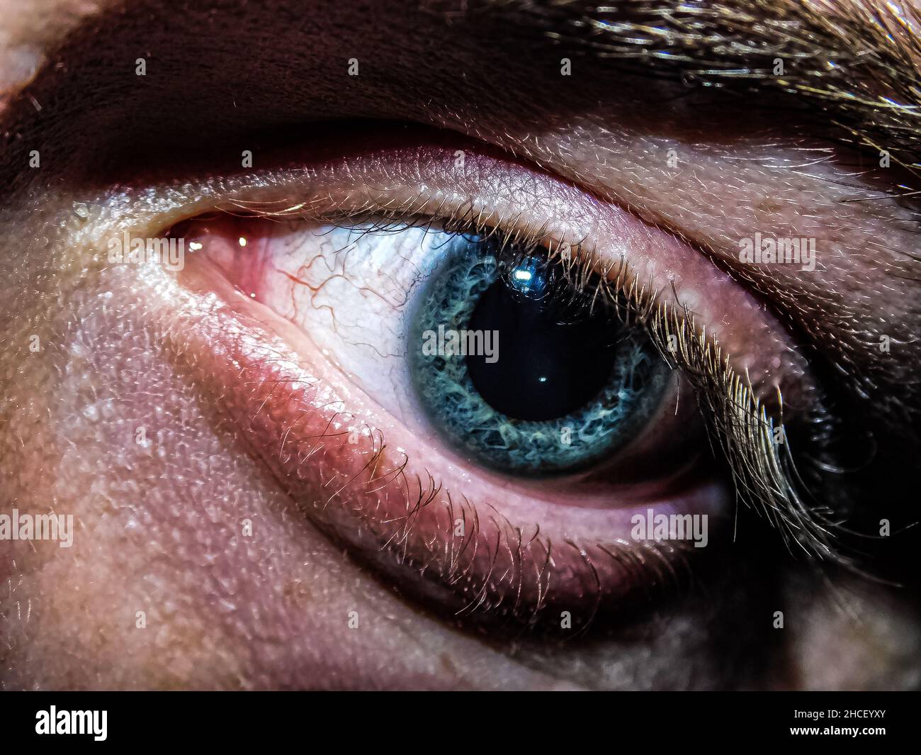 Gros plan de l'œil et du sourcil bleu profond de la personne Banque D'Images