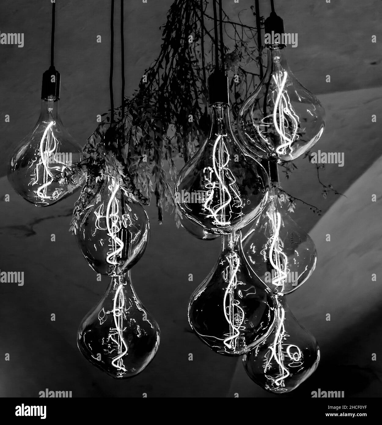 Ampoules à incandescence décoratives de style Edison antique suspendues au plafond. Banque D'Images