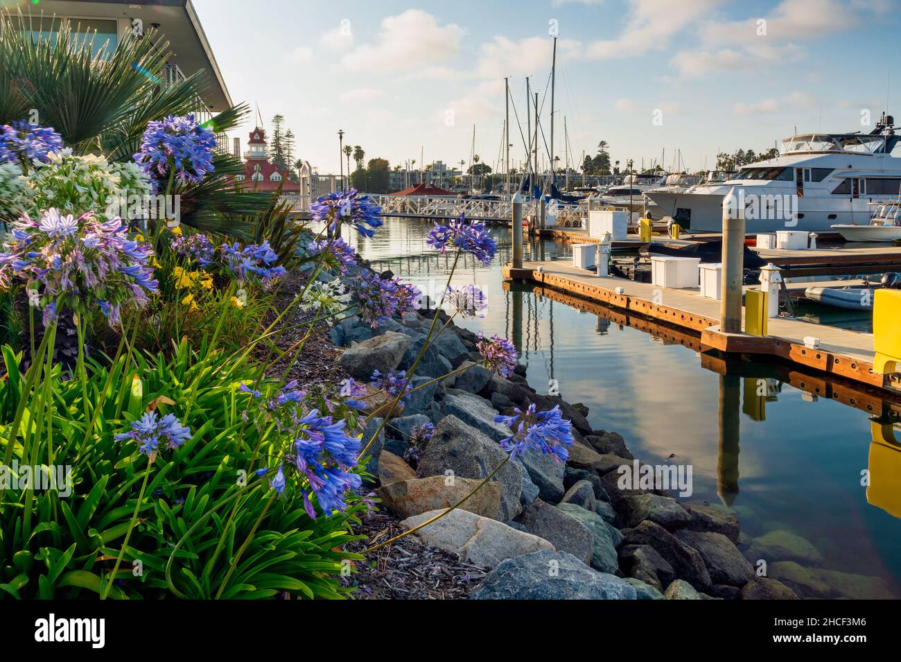 Coronado Island San Diego Californie, yachts amarrés dans le port Banque D'Images
