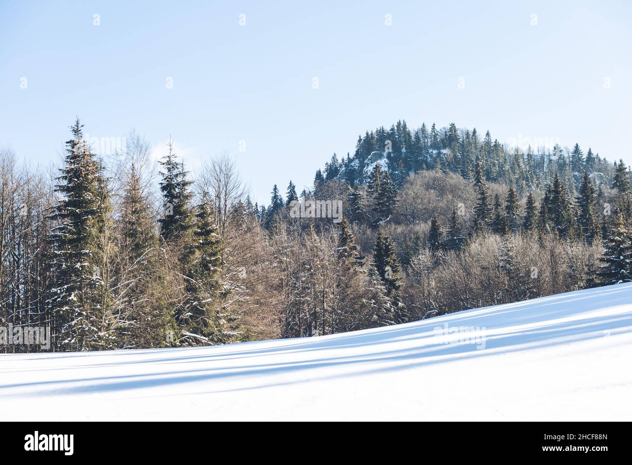 Scène d'hiver lors d'une journée d'hiver ensoleillée qui regarde à travers un pré enneigé vers les bois en Slovaquie Banque D'Images