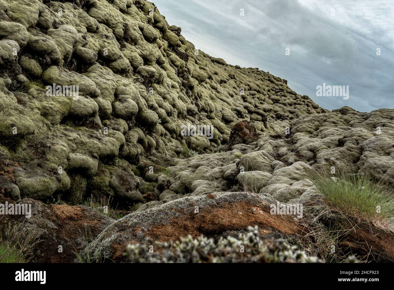 Champ de lave d'Islande recouvert de mousse verte de l'éruption du volcan Banque D'Images