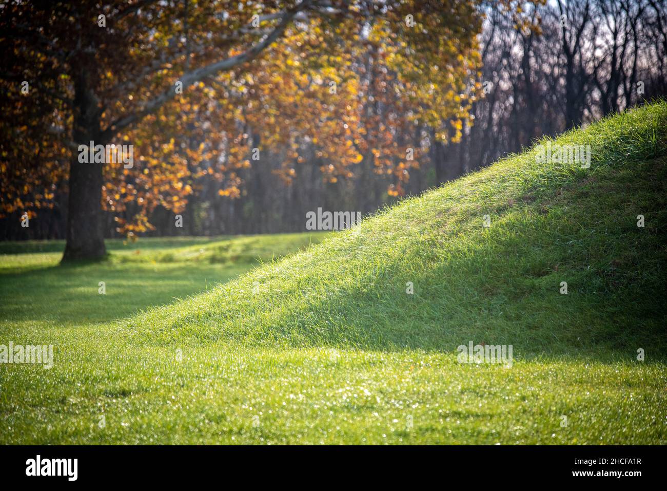 Hopewell Culture NHP , groupe de la ville de Mound Banque D'Images