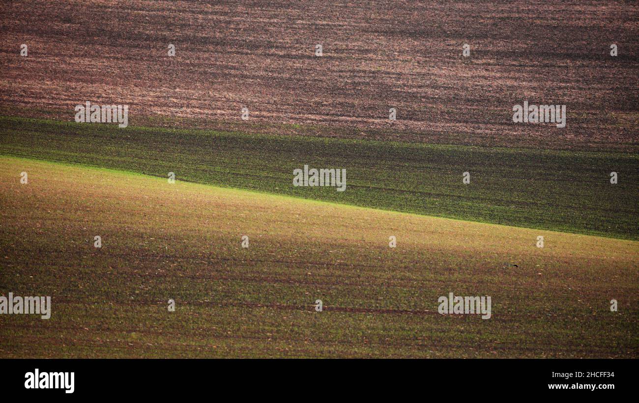 Gros plan des lignes et des contours des collines de la Moravie en République tchèque Banque D'Images