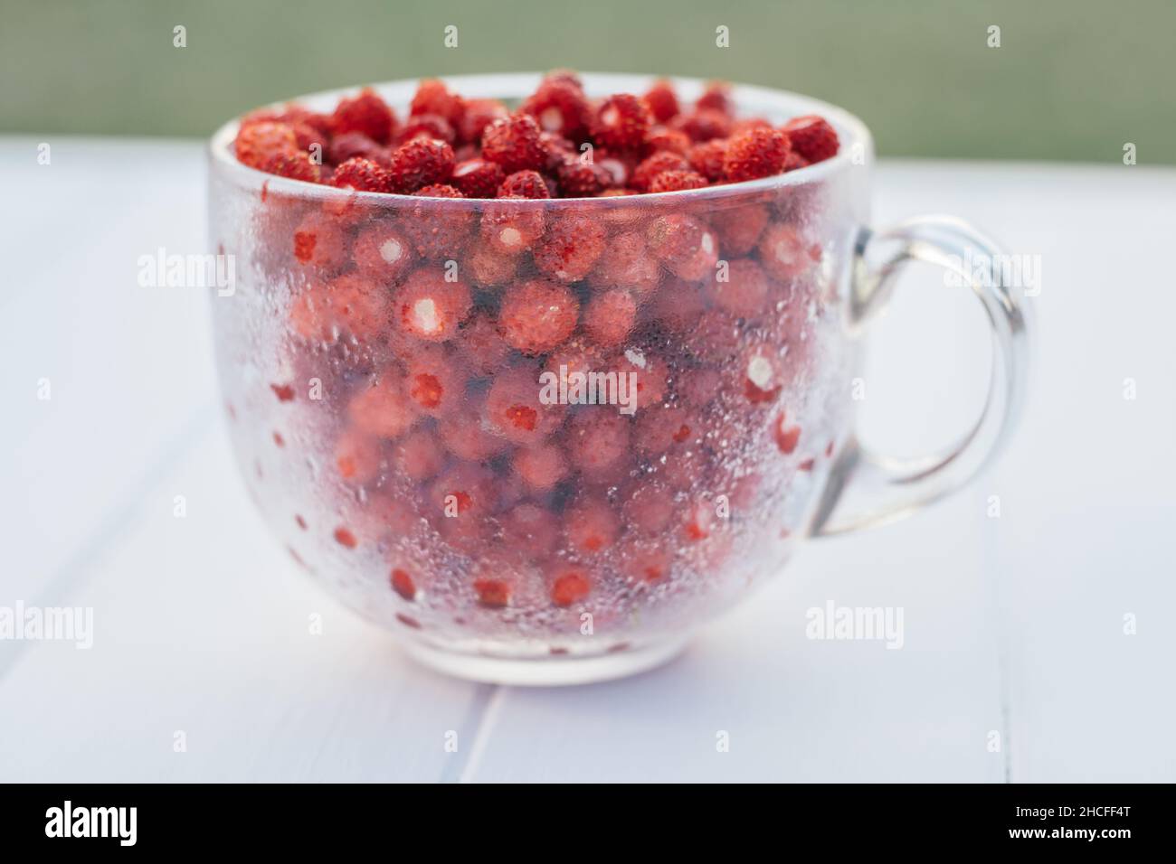 Petites fraises sauvages fraîchement mûres, juteuses, pelées, dans un grand mug rond en verre transparent avec gouttes d'eau sur fond bleu clair.Une alimentation saine.Fermer u Banque D'Images